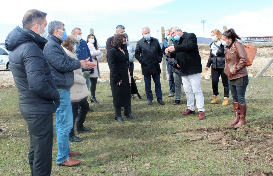 Ladik Belediyesi Lavanta Yetiştirecek 