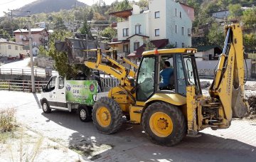 Ağaçlar Kuş Gözlem Kulesine Taşındı