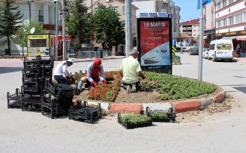 Ladik Belediyesi Refüjlere Çiçek Dikiyor